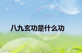 八九玄功是什么功