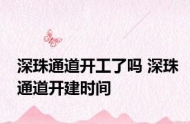 深珠通道开工了吗 深珠通道开建时间