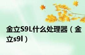 金立S9L什么处理器（金立s9l）
