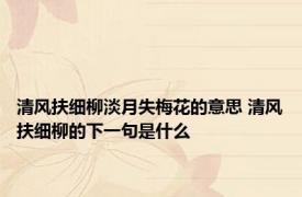 清风扶细柳淡月失梅花的意思 清风扶细柳的下一句是什么