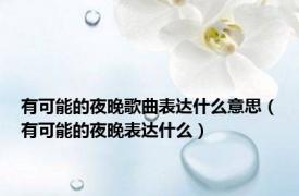 有可能的夜晚歌曲表达什么意思（有可能的夜晚表达什么）
