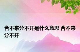 合不来分不开是什么意思 合不来分不开 