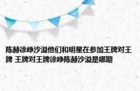 陈赫徐峥沙溢他们和明星在参加王牌对王牌 王牌对王牌徐峥陈赫沙溢是哪期