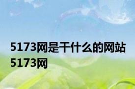 5173网是干什么的网站 5173网 