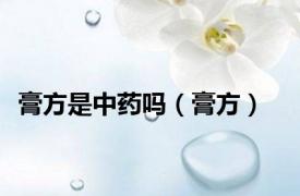 膏方是中药吗（膏方）