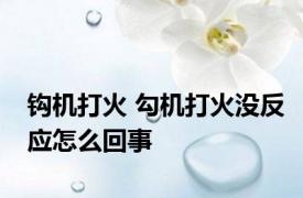 钩机打火 勾机打火没反应怎么回事