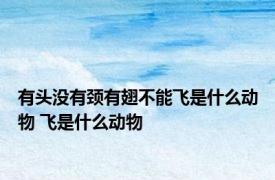 有头没有颈有翅不能飞是什么动物 飞是什么动物