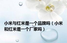 小米与红米是一个品牌吗（小米和红米是一个厂家吗）