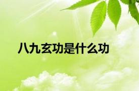 八九玄功是什么功