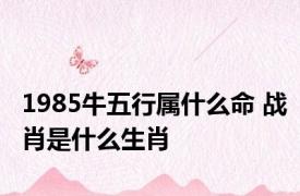 1985牛五行属什么命 战肖是什么生肖