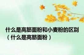 什么是高筋面粉和小麦粉的区别（什么是高筋面粉）