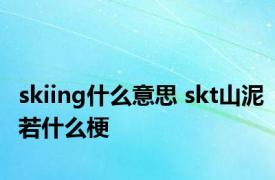 skiing什么意思 skt山泥若什么梗