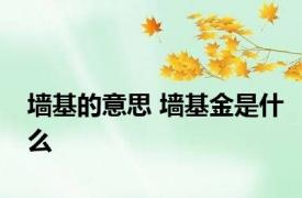 墙基的意思 墙基金是什么