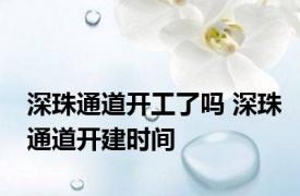 深珠通道开工了吗 深珠通道开建时间
