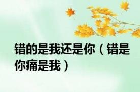 错的是我还是你（错是你痛是我）