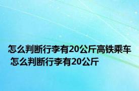 怎么判断行李有20公斤高铁乘车 怎么判断行李有20公斤