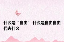 什么是“自由” 什么是自由自由代表什么
