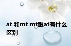 at 和mt mt跟at有什么区别