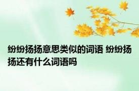 纷纷扬扬意思类似的词语 纷纷扬扬还有什么词语吗