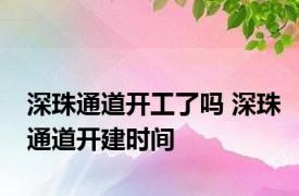 深珠通道开工了吗 深珠通道开建时间