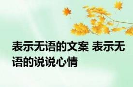 表示无语的文案 表示无语的说说心情