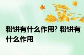 粉饼有什么作用? 粉饼有什么作用