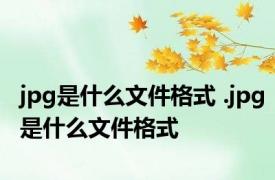 jpg是什么文件格式 .jpg是什么文件格式