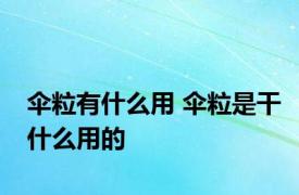 伞粒有什么用 伞粒是干什么用的