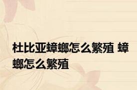 杜比亚蟑螂怎么繁殖 蟑螂怎么繁殖