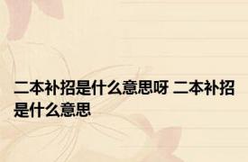 二本补招是什么意思呀 二本补招是什么意思