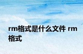 rm格式是什么文件 rm格式 