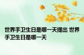 世界手卫生日是哪一天提出 世界手卫生日是哪一天