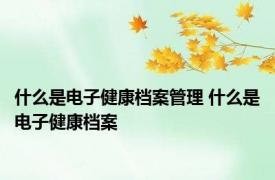 什么是电子健康档案管理 什么是电子健康档案