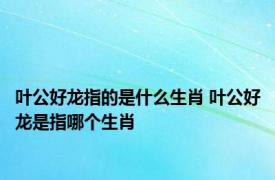 叶公好龙指的是什么生肖 叶公好龙是指哪个生肖