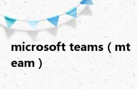 microsoft teams（mteam）