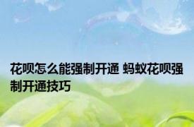 花呗怎么能强制开通 蚂蚁花呗强制开通技巧