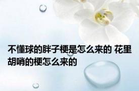 不懂球的胖子梗是怎么来的 花里胡哨的梗怎么来的