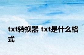 txt转换器 txt是什么格式