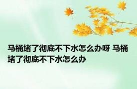 马桶堵了彻底不下水怎么办呀 马桶堵了彻底不下水怎么办