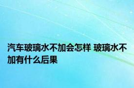 汽车玻璃水不加会怎样 玻璃水不加有什么后果