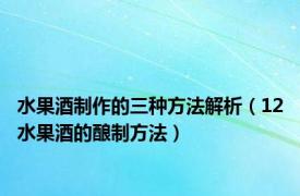 水果酒制作的三种方法解析（12水果酒的酿制方法）