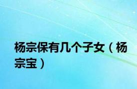 杨宗保有几个子女（杨宗宝）