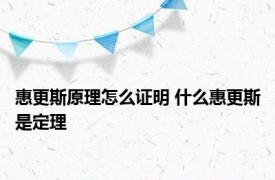 惠更斯原理怎么证明 什么惠更斯是定理