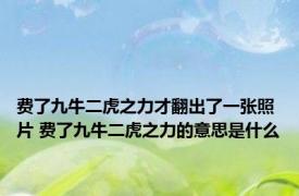 费了九牛二虎之力才翻出了一张照片 费了九牛二虎之力的意思是什么