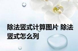 除法竖式计算图片 除法竖式怎么列