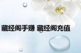 藏经阁手赚 藏经阁充值 