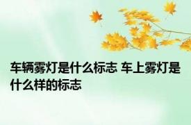 车辆雾灯是什么标志 车上雾灯是什么样的标志