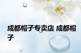 成都帽子专卖店 成都帽子 