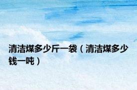 清洁煤多少斤一袋（清洁煤多少钱一吨）