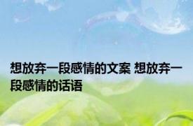 想放弃一段感情的文案 想放弃一段感情的话语